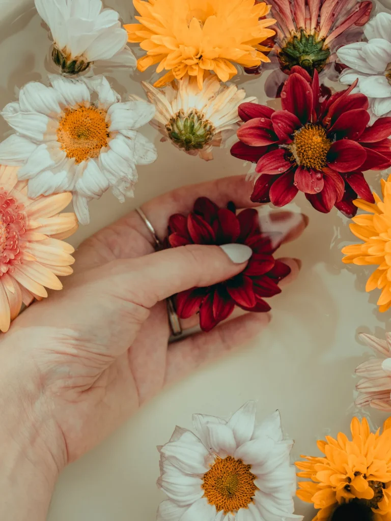 Seasonal flowers